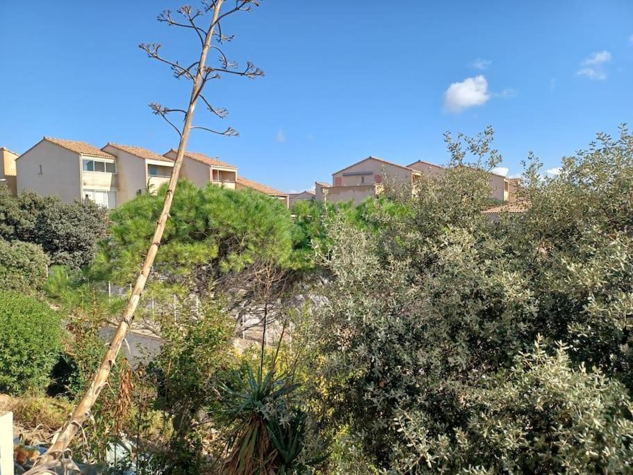 Plain-Pied, Terrasse, Piscine, Pleine Vue Mer, Plage A 6' A Pied, Parking, Wifi Fleury  Buitenkant foto
